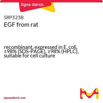 EGF from rat
