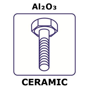ALUMINA, BOLT, SIZE M6 X