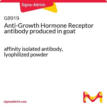 Anti-Growth Hormone Receptor antibody produced