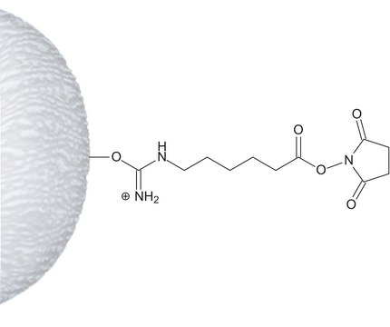 N-Hydroxysuccinimidyl-Sepharose™ 4 Fast Flow