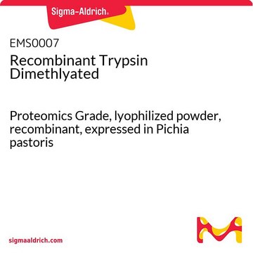 Recombinant Trypsin Dimethlyated