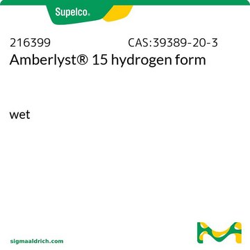Amberlyst® 15 hydrogen form