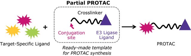 (S,R,S)-AHPC-PEG?-Alkyne
