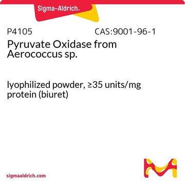 Pyruvate Oxidase from Aerococcus sp.