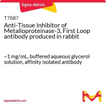 Anti-Tissue Inhibitor of Metalloproteinase-3, First