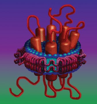 Membrane Scaffold Protein 1E3D1