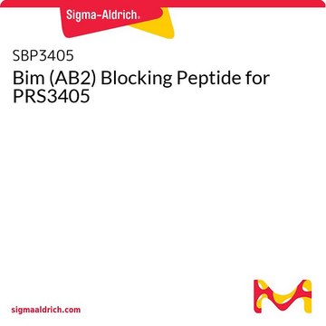 Bim (AB2) Blocking Peptide for