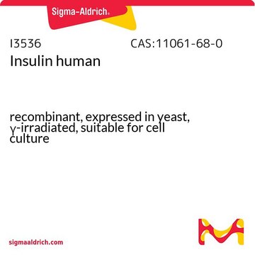 Insulin human
