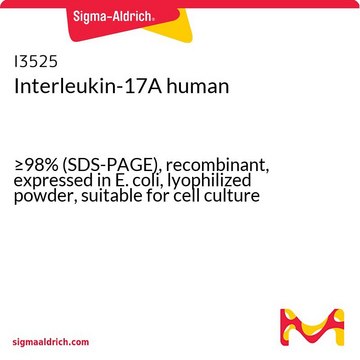 Interleukin-17A human