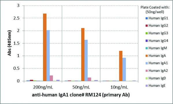Anti-Human IgA1-Biotin antibody, Rabbit monoclonal