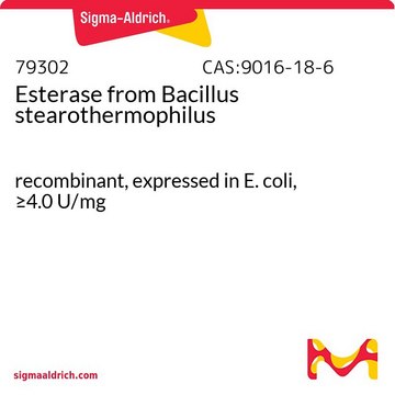 Esterase from Bacillus stearothermophilus