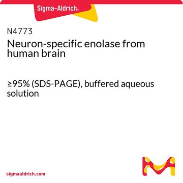 Neuron-specific enolase from human brain
