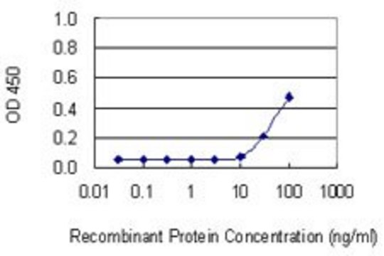 Monoclonal Anti-FBXO40 antibody produced in