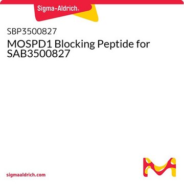 MOSPD1 Blocking Peptide for SAB3500827