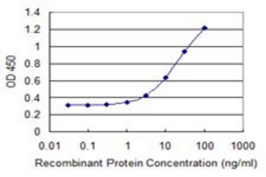 Monoclonal Anti-LONRF2 antibody produced in