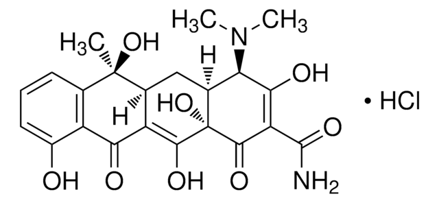 EPITETRACYCLINE HYDROCHLORIDE, UNITED ST