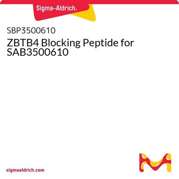 ZBTB4 Blocking Peptide for SAB3500610