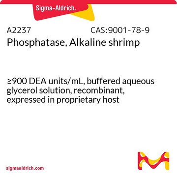Phosphatase, Alkaline shrimp