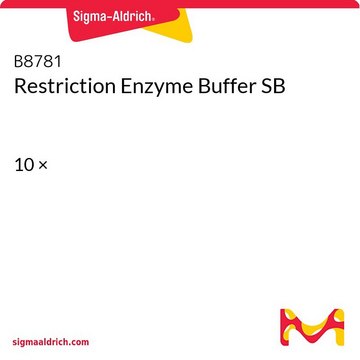 Restriction Enzyme Buffer SB