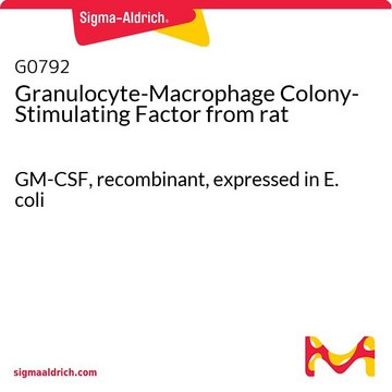 Granulocyte-Macrophage Colony-Stimulating Factor from rat