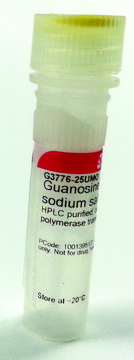 Guanosine 5?-triphosphate sodium salt solution