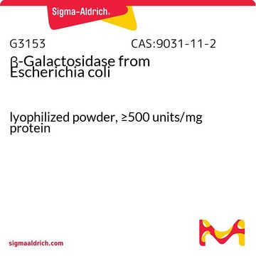?-Galactosidase from Escherichia coli