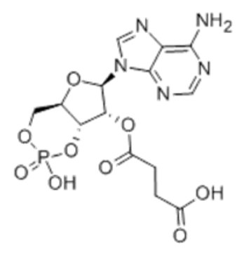 2?-O-Monosuccinyladenosine 3?:5?-cyclic monophosphate