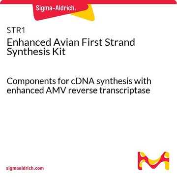 Enhanced Avian First Strand Synthesis