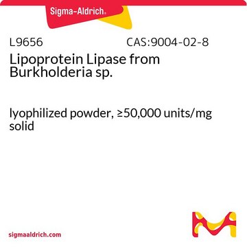 Lipoprotein Lipase from Burkholderia sp.