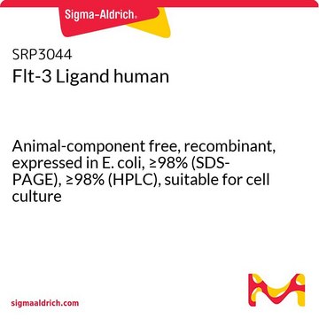 Flt-3 Ligand human
