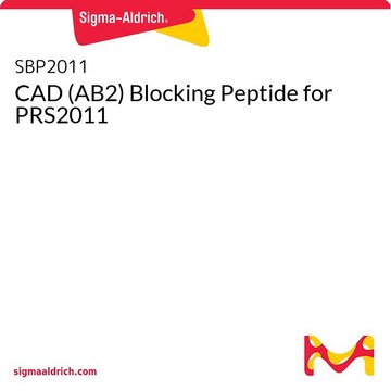 CAD (AB2) Blocking Peptide for