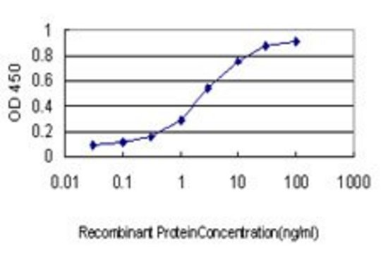 Monoclonal Anti-TGIF antibody produced in