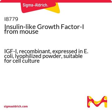 Insulin-like Growth Factor-I from mouse