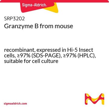 Granzyme B from mouse