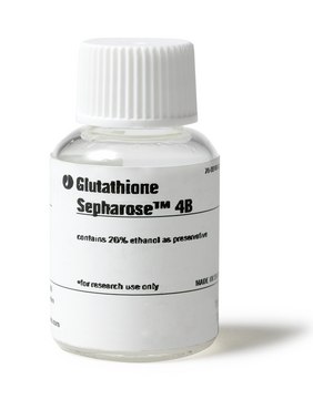 GLUTATHIONE SEPHAROSE 4B, 300 ML