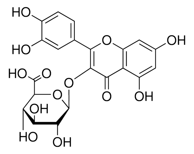 Quercetin 3-glucuronide