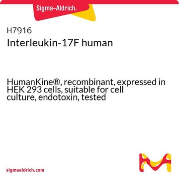 Interleukin-17F human