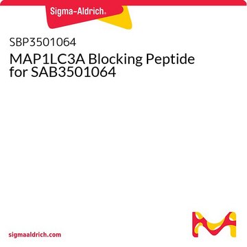 MAP1LC3A Blocking Peptide for SAB3501064