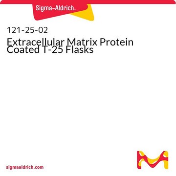 Extracellular Matrix Protein Coated T-25