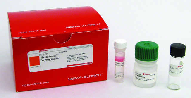 NeuroPorter™ Transfection Kit