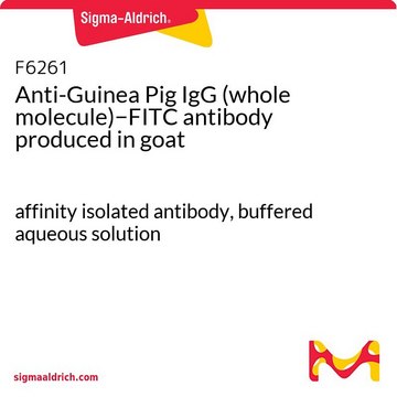 Anti-Guinea Pig IgG (whole molecule)?FITC