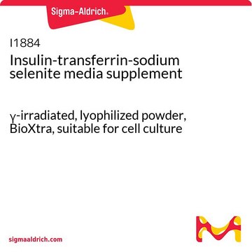 Insulin-transferrin-sodium selenite media supplement