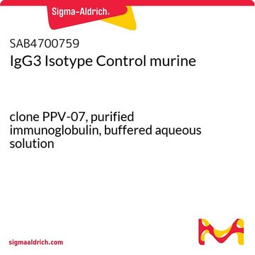 IgG3 Isotype Control murine