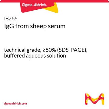 IgG from sheep serum