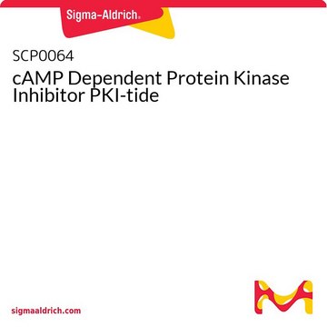 cAMP Dependent Protein Kinase Inhibitor