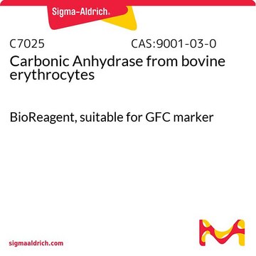 Carbonic Anhydrase from bovine erythrocytes