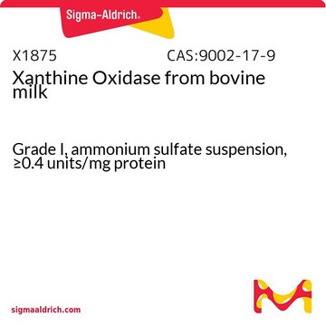 Xanthine Oxidase from bovine milk
