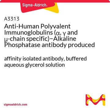 Anti-Human Polyvalent Immunoglobulins (?, ?