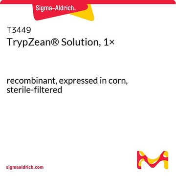 TrypZean® Solution, 1×