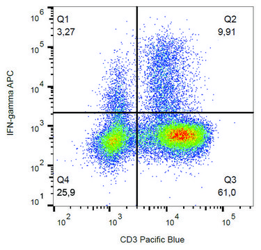 Monoclonal Anti-IFN gamma-APC antibody produced